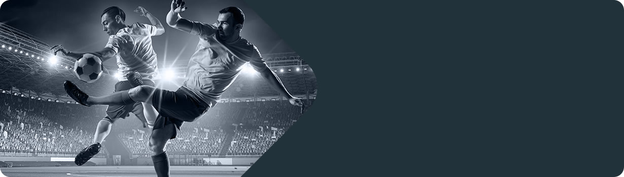 is there a sudoku app without ads
